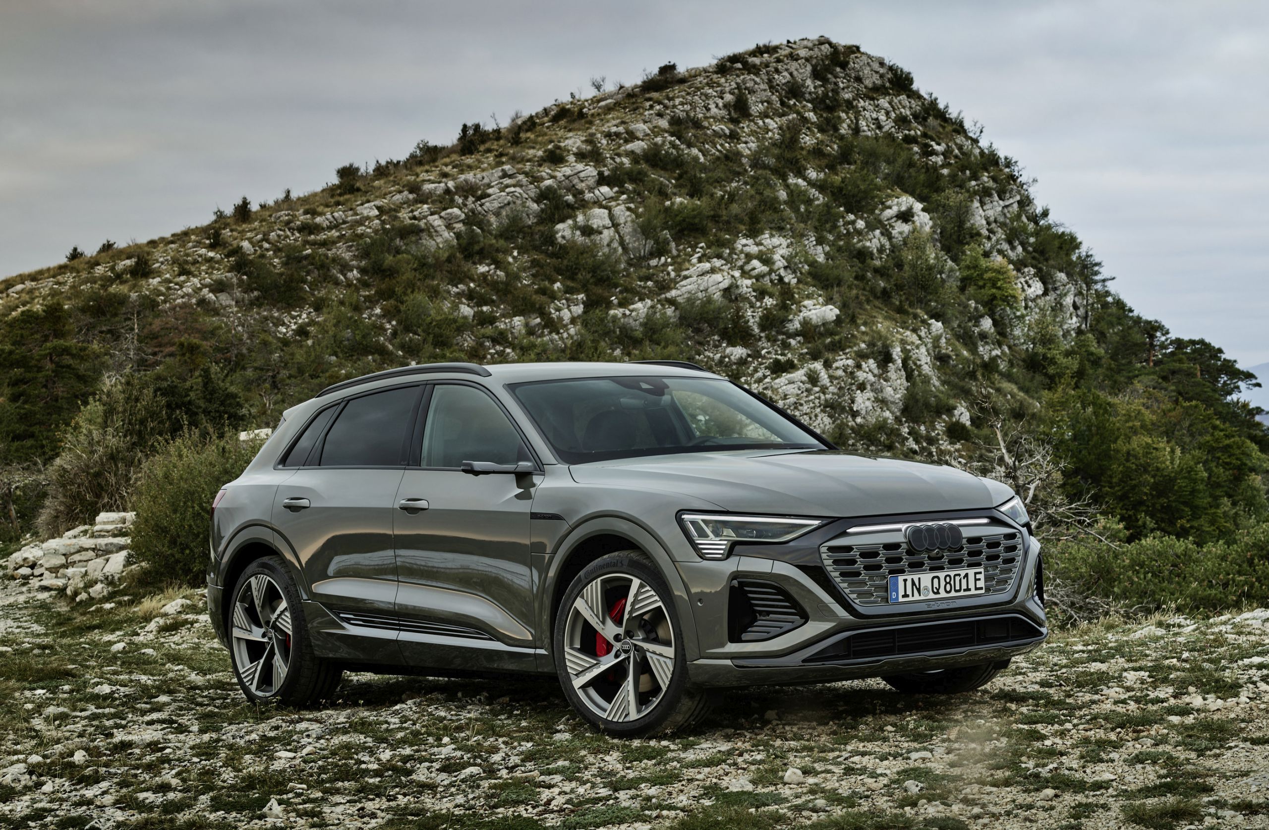Audi Audi Q8 e-tron 50 quattro