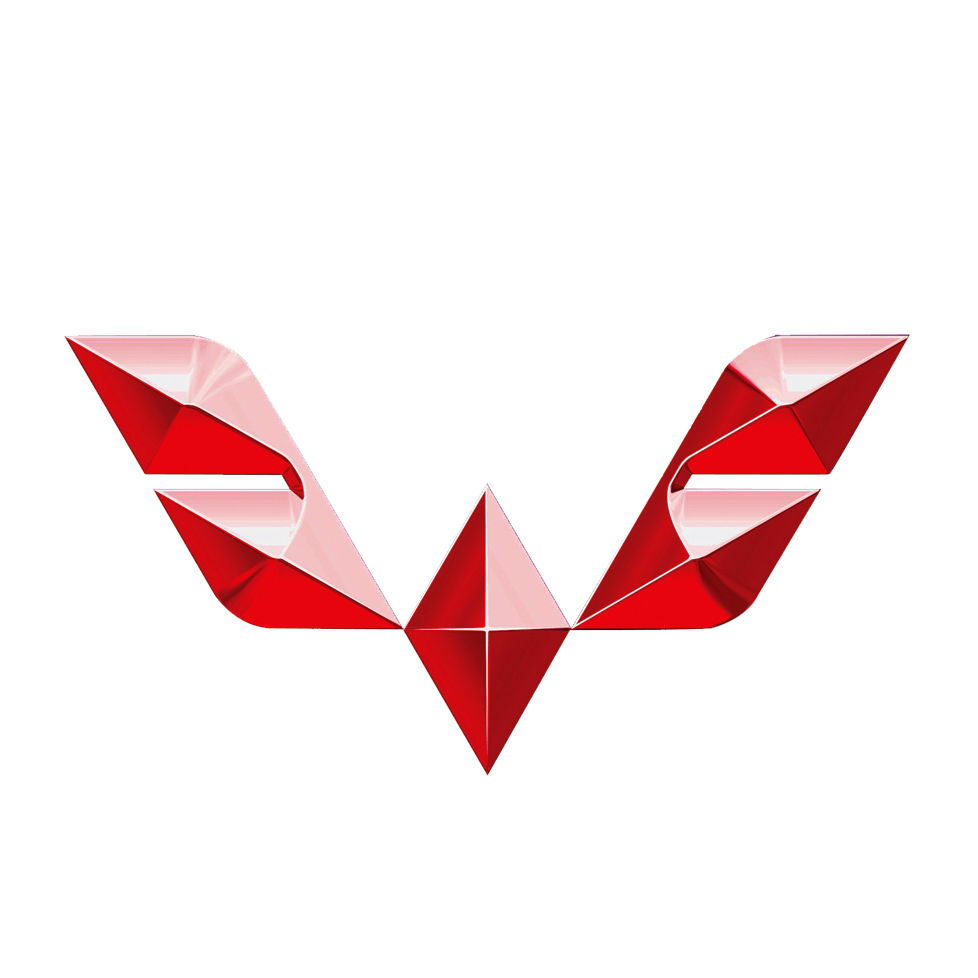 Wuling Logosu